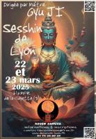 affiche sesshin de Lyon